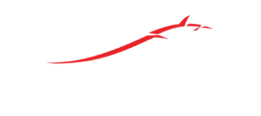 Bitdefender transparent logo