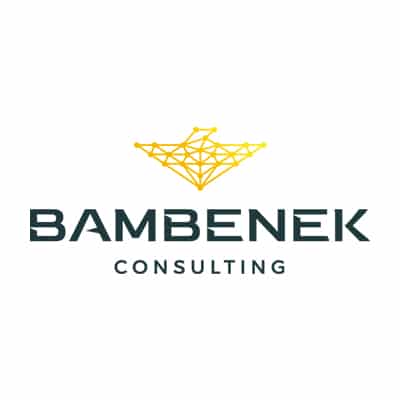 Bambenek Consulting logo