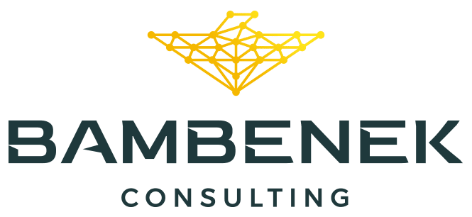 Bambenek Consulting logo