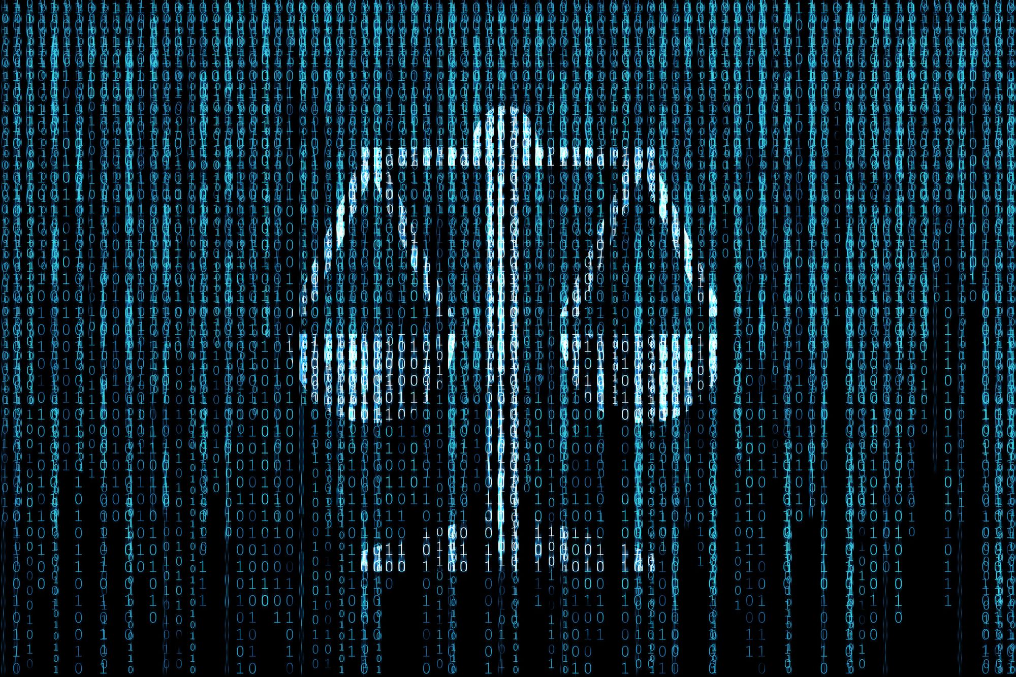 Cyber Law Concept Image